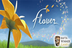 花/Flower