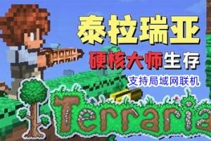 泰拉瑞亚/Terraria (支持局域网联机)