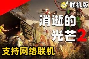 消逝的光芒2：人与仁之战/Dying Light 2 Stay Human/支持网络联机