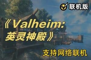 Valheim: 英灵神殿/支持网络联机