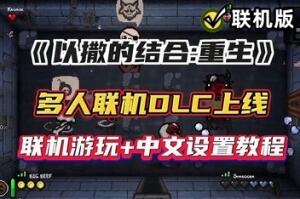 以撒的结合:重生/The Binding of Isaac: Rebirth/支持网络联机