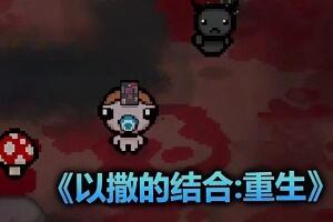以撒的结合:重生/The Binding of Isaac: Rebirth