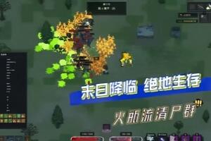 末日降临:绝地生存/Nearly Dead – Live and Let Die