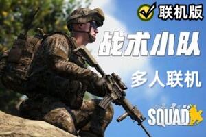 战术小队/Squad/支持网络联机