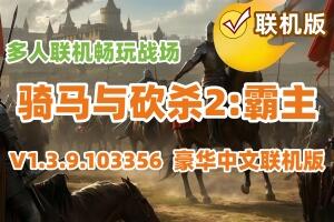 骑马与砍杀2：霸主/Mount & Blade II: Bannerlord/支持网络联机