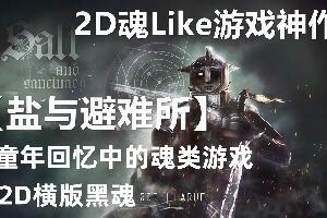 盐和避难所/盐与避难所/Salt and Sanctuary